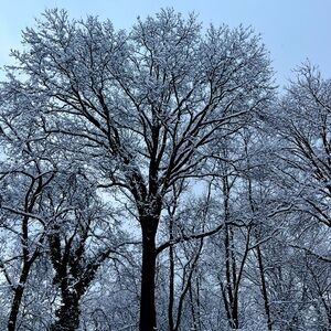 Meet your Posher, Joyce giselle